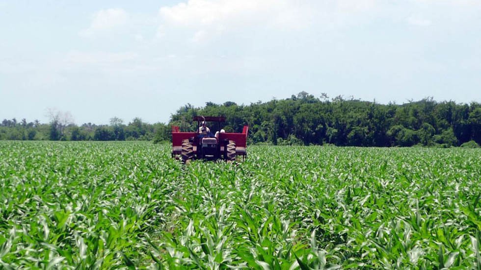 sector-agropecuario-en-mexico